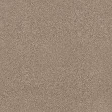 Shaw Floors Caress By Shaw Cozy Harbor I Net Natural Beauty 00721_5E364