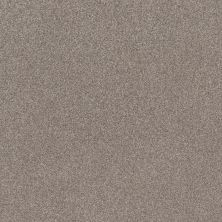 Shaw Floors Caress By Shaw Cozy Harbor I Net Stucco 00724_5E364