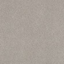 Shaw Floors Caress By Shaw Cozy Harbor II Net Baltic Stone 00128_5E365