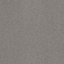 Shaw Floors Caress By Shaw Cozy Harbor II Net Grounded Gray 00536_5E365