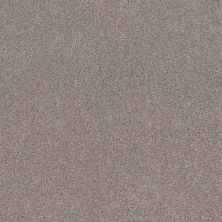 Shaw Floors Caress By Shaw Cozy Harbor II Net Stucco 00724_5E365