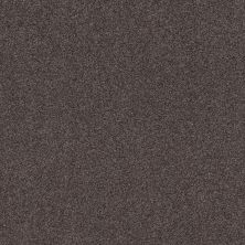 Shaw Floors Caress By Shaw Cozy Harbor II Net Burma Brown 00752_5E365