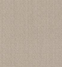 Shaw Floors Value Collections Zenhaven Net Sandstone 00743_5E366