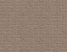 Shaw Floors Value Collections Zenhaven Net Tumbleweed 00749_5E366
