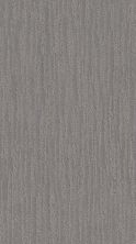 Shaw Floors Value Collections On The Horizon Net Grounded Gray 00536_5E367