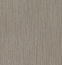 Shaw Floors Value Collections On The Horizon Net Stucco 00724_5E367