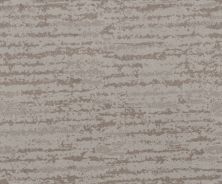 Shaw Floors Caress By Shaw Winter Solace Net Cold Winter 00126_5E369