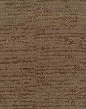 Shaw Floors Caress By Shaw Winter Solace Net Raw Wood 00720_5E369