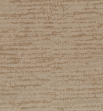 Shaw Floors Caress By Shaw Winter Solace Net Natural Beauty 00721_5E369
