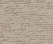 Shaw Floors Caress By Shaw Winter Solace Net Sandstone 00743_5E369