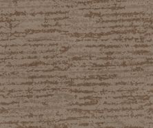 Shaw Floors Caress By Shaw Winter Solace Net Tumbleweed 00749_5E369