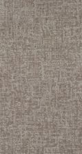 Shaw Floors Caress By Shaw Fine Structure Net Cold Winter 00126_5E370