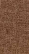 Shaw Floors Caress By Shaw Fine Structure Net Sunbaked 00650_5E370