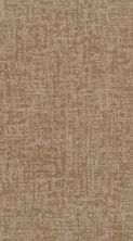 Shaw Floors Caress By Shaw Fine Structure Net Natural Beauty 00721_5E370