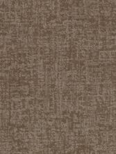 Shaw Floors Caress By Shaw Fine Structure Net Tumbleweed 00749_5E370