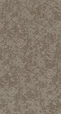 Shaw Floors Caress By Shaw Free Spirit Net Stucco 00724_5E371