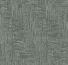 Shaw Floors Caress By Shaw Insightful Journey Net Waters Edge 00307_5E372