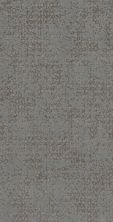 Shaw Floors Caress By Shaw Artistic Presence Net Grounded Gray 00536_5E374