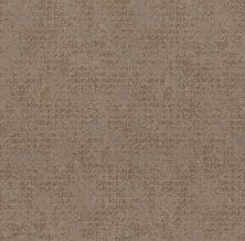Shaw Floors Caress By Shaw Artistic Presence Net Tumbleweed
