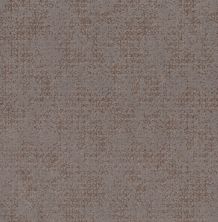 Shaw Floors Caress By Shaw Artistic Presence Net Ridgeview