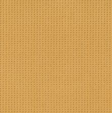 Shaw Floors Caress By Shaw Soft Symmetry Net Turmeric 00250_5E378