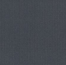 Shaw Floors Caress By Shaw Soft Symmetry Net Deep Sea 00433_5E378