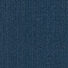 Shaw Floors Caress By Shaw Soft Symmetry Net Ocean Villa 00436_5E378