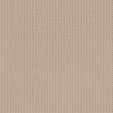 Shaw Floors Caress By Shaw Soft Symmetry Net Natural Beauty 00721_5E378