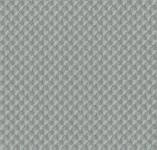 Shaw Floors Caress By Shaw Inspired Design Net Waters Edge 00307_5E379