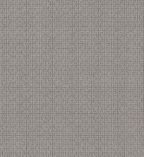 Shaw Floors Caress By Shaw Serene Key Net Grounded Grey 00536_5E380