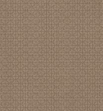 Shaw Floors Caress By Shaw Serene Key Net Raw Wood 00720_5E380