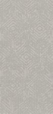 Shaw Floors Caress By Shaw Vintage Revival Net Cold Winter 00126_5E381