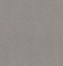 Shaw Floors Caress By Shaw Vintage Revival Net Grounded Gray 00536_5E381