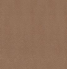 Shaw Floors Caress By Shaw Vintage Revival Net Sunbaked 00650_5E381