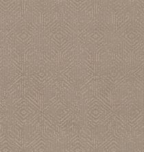 Shaw Floors Caress By Shaw Vintage Revival Net Tumbleweed 00749_5E381