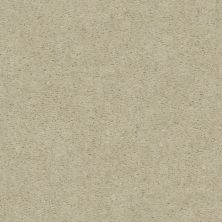 Shaw Floors Value Collections Heroic Net Ash Blonde 00122_5E386