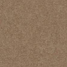 Shaw Floors Value Collections Heroic Net Clay 00701_5E386