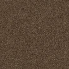 Shaw Floors Value Collections Heroic Net Toffee 00753_5E386