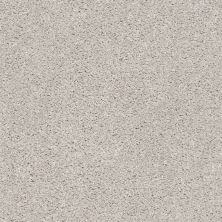 Shaw Floors Simply The Best Suave Net Koala 00592_5E388