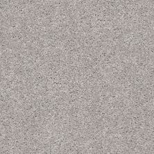 Shaw Floors Simply The Best Suave Net Stone 00593_5E388