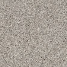 Shaw Floors Simply The Best Suave Net Mushroom 00594_5E388