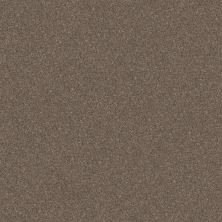 Shaw Floors Value Collections Go After It 3 Tree House 00732_5E391