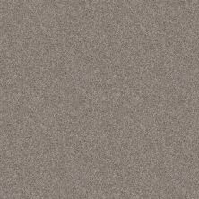 Shaw Floors Take Away (t) Hawk 00722_5E425