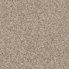 Shaw Floors Value Collections Summertown III Crystal Sand 13100_5E432