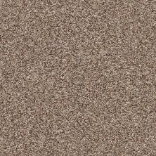 Shaw Floors Value Collections Summertown III Pebble Path 13700_5E432