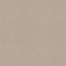 Shaw Floors Foundations Fine Tapestry Sandstone 00743_5E446