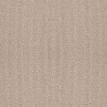 Shaw Floors Foundations Fine Tapestry Heirloom 00803_5E446
