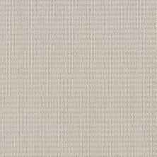 Shaw Floors Pet Perfect Plus Chic Elevation Champagne Toast 00103_5E456