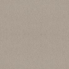 Shaw Floors Simply The Best Embellished Birch 00118_5E458