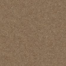 Shaw Floors Positively Milestone 00732_5E462